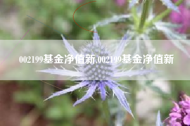 002199基金净值新,002199基金净值新