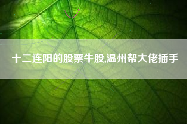 十二连阳的股票牛股,温州帮大佬插手