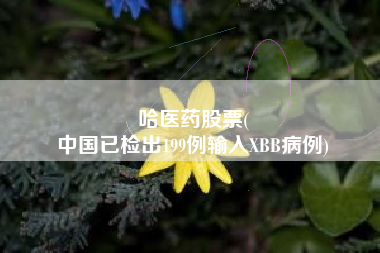 哈医药股票(
中国已检出199例输入XBB病例)