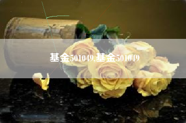 基金501049,基金501049