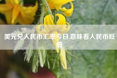 美元兑人民币汇率今日,意味着人民币贬值
