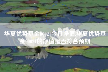 华夏优势基金00021今日净值,华夏优势基金00021的净值是否符合预期