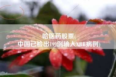 哈医药股票(
中国已检出199例输入XBB病例)