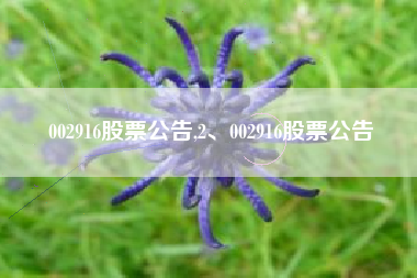 002916股票公告,2、002916股票公告