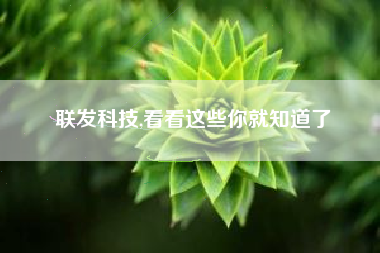 联发科技,看看这些你就知道了