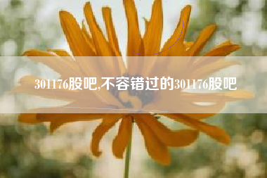 301176股吧,不容错过的301176股吧