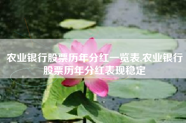 农业银行股票历年分红一览表,农业银行股票历年分红表现稳定