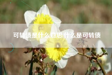 可转债是什么意思,什么是可转债