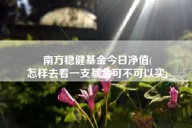 南方稳健基金今日净值(
怎样去看一支基金可不可以买)