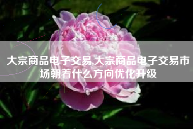 大宗商品电子交易,大宗商品电子交易市场朝着什么方向优化升级