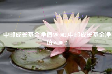 中邮成长基金净值590002,中邮成长基金净值590002