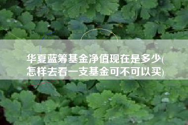 华夏蓝筹基金净值现在是多少(
怎样去看一支基金可不可以买)