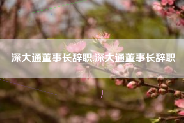 深大通董事长辞职,深大通董事长辞职