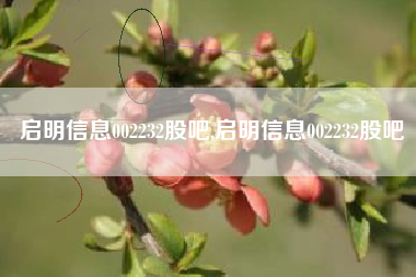 启明信息002232股吧,启明信息002232股吧