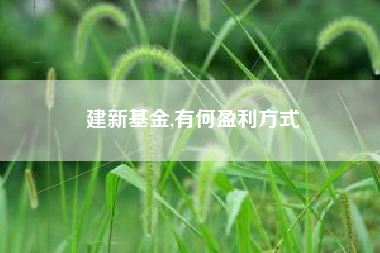 建新基金,有何盈利方式