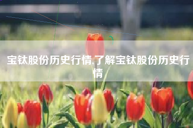 宝钛股份历史行情,了解宝钛股份历史行情
