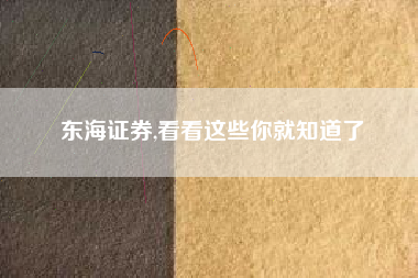 东海证券,看看这些你就知道了