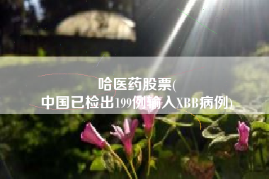 哈医药股票(
中国已检出199例输入XBB病例)
