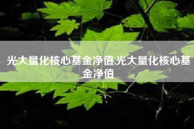 光大量化核心基金净值,光大量化核心基金净值