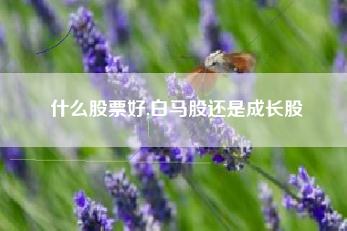 什么股票好,白马股还是成长股