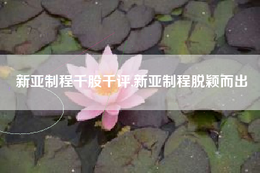 新亚制程千股千评,新亚制程脱颖而出