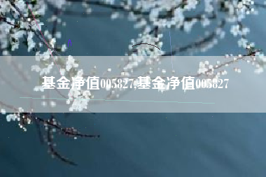 基金净值005827,基金净值005827