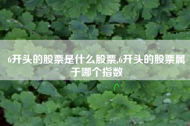 6开头的股票是什么股票,6开头的股票属于哪个指数
