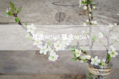 基金002669,基金002669