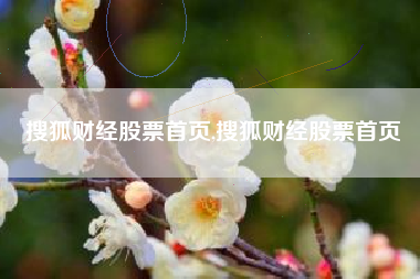 搜狐财经股票首页,搜狐财经股票首页
