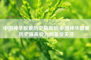 中国神华股票历史最高价,中国神华股票历史最高价为何备受关注