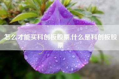 怎么才能买科创板股票,什么是科创板股票