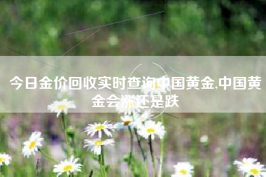 今日金价回收实时查询中国黄金,中国黄金会涨还是跌