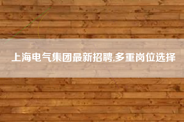 上海电气集团最新招聘,多重岗位选择