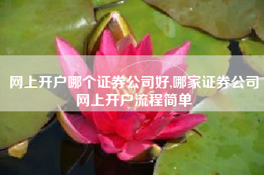 网上开户哪个证券公司好,哪家证券公司网上开户流程简单