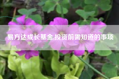 易方达成长基金,投资前需知道的事项