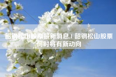 韶钢松山股票最新消息,1 韶钢松山股票何时将有新动向