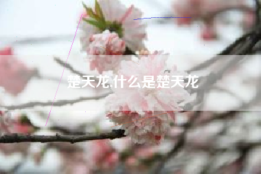 楚天龙,什么是楚天龙