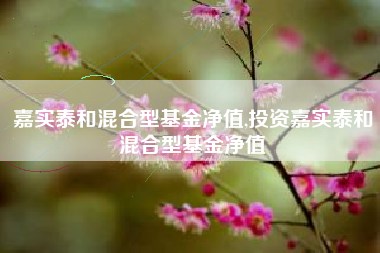 嘉实泰和混合型基金净值,投资嘉实泰和混合型基金净值