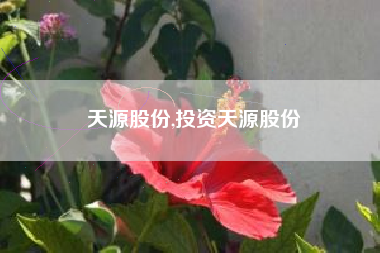 天源股份,投资天源股份