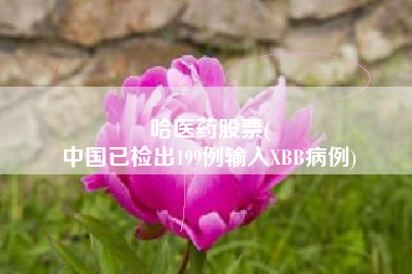 哈医药股票(
中国已检出199例输入XBB病例)