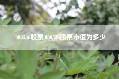 000536股票,000536股票市值为多少