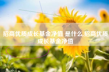 招商优质成长基金净值 是什么,招商优质成长基金净值