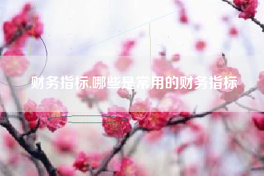 财务指标,哪些是常用的财务指标