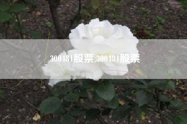 300481股票,300481股票