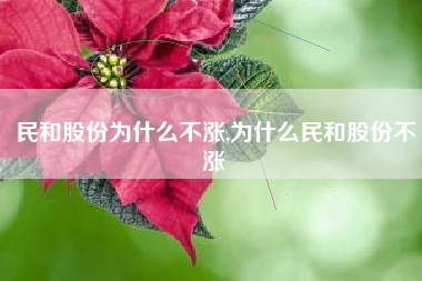 民和股份为什么不涨,为什么民和股份不涨