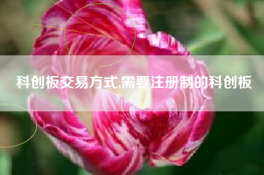 科创板交易方式,需要注册制的科创板