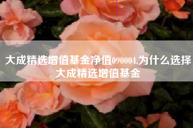 大成精选增值基金净值090004,为什么选择大成精选增值基金