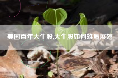 美国百年大牛股,大牛股如何雄鹰展翅