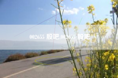 002655 股吧,002655 股吧