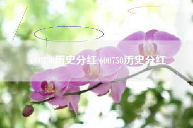 600750历史分红,600750历史分红